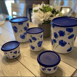 Tupperware set botes claveles (azul) toque mágico